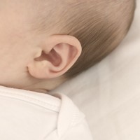 Baby's ear