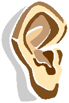 ear